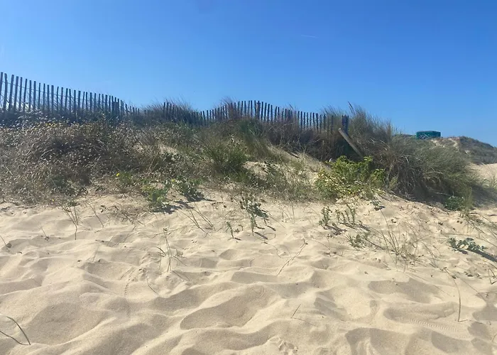 Vue Sur Dunes !