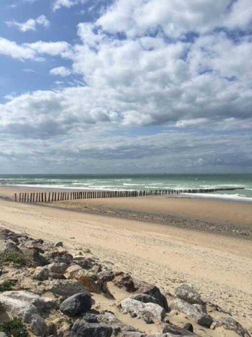 Vue Sur Dunes ! * Sangatte
