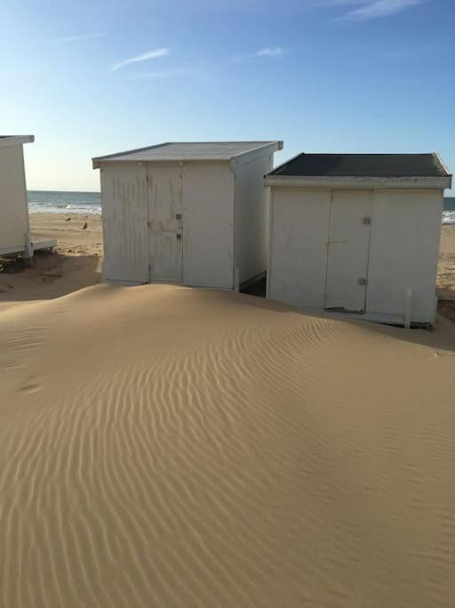 Vue Sur Dunes ! Appartement